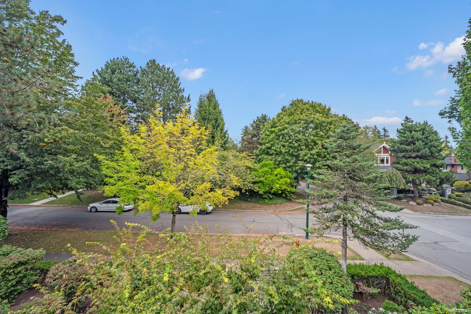 From the balcony: the street trees, the boulevard and the neighbours' roofs