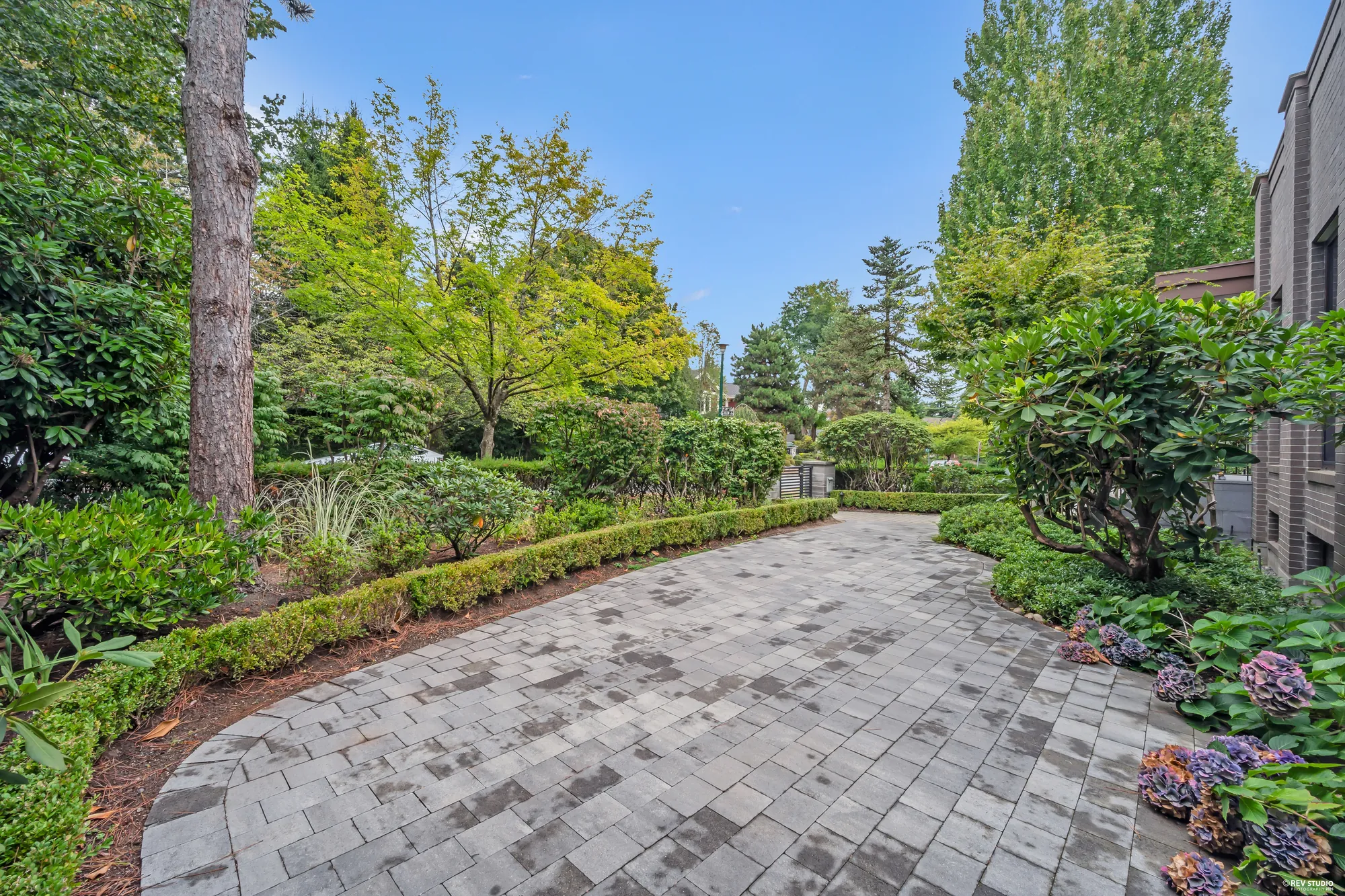 The paved motor court behind the house, edged with a low hedge and planting